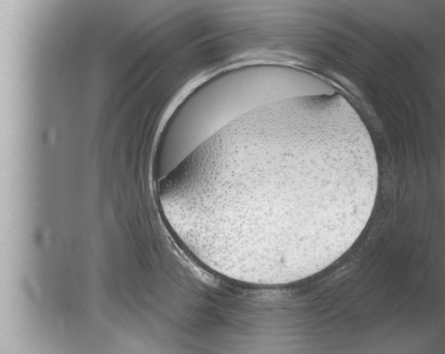 X0000080131188200612302028