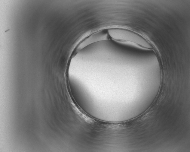 X0000080131189200612302028