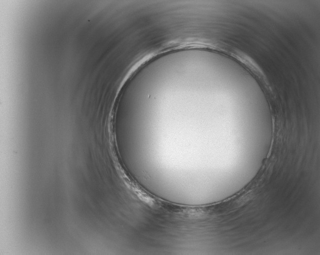 X0000080131190200612302028