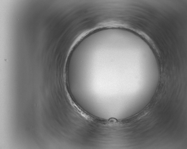 X0000080131191200612302028