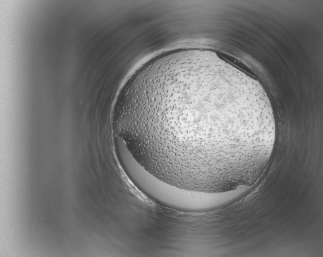 X0000080131192200612302028