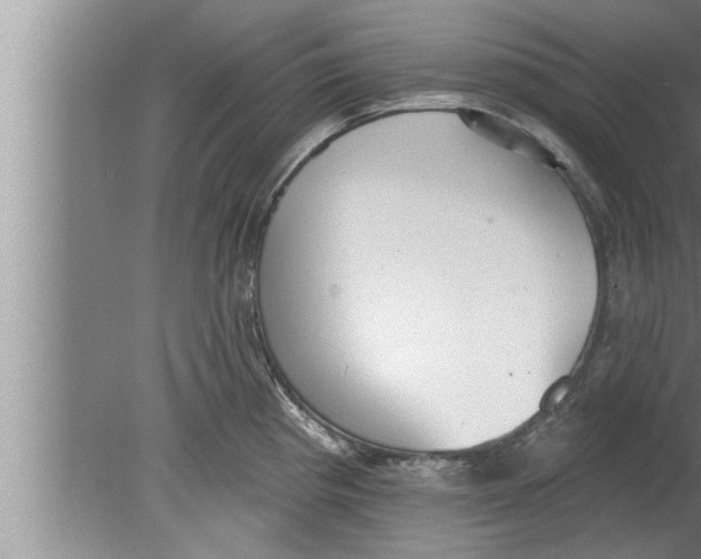 X0000080131193200612302028