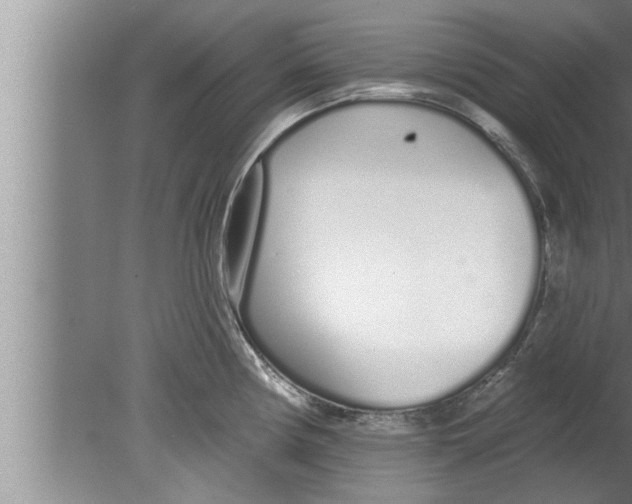 X0000080131194200612302028