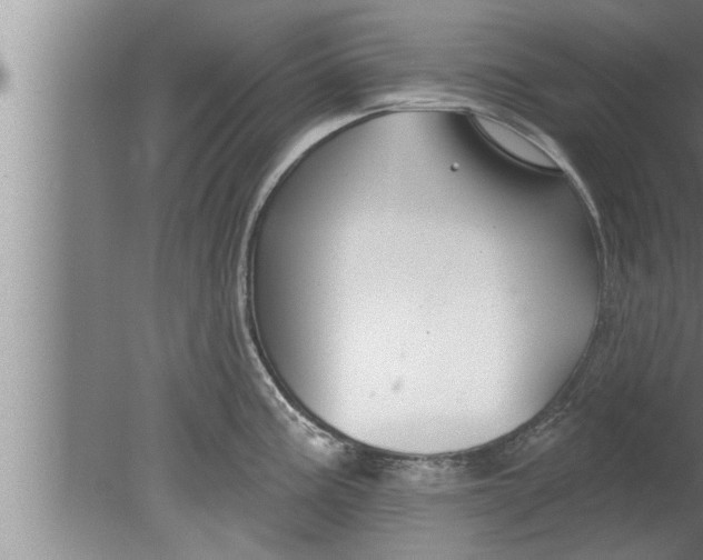 X0000080131195200612302028