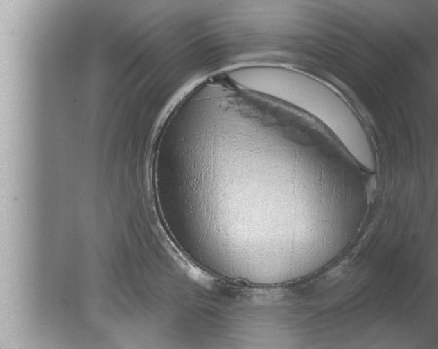 X0000080131196200612302028