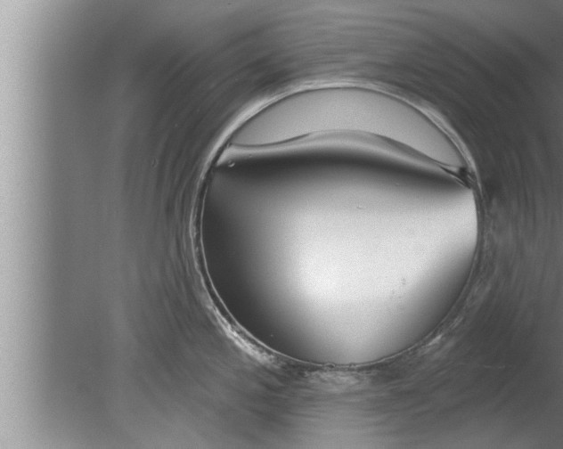 X0000080131197200612302028