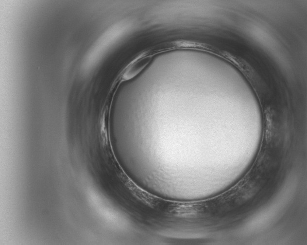 X0000080131198200612302028