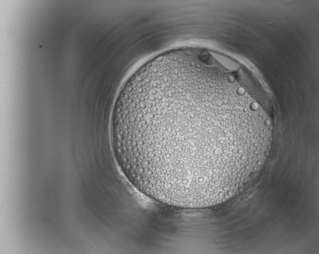 X0000080131199200612302028