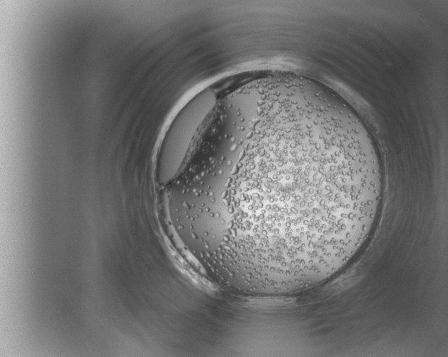 X0000080131200200612302028