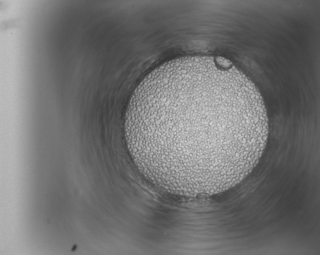 X0000080131201200612302027