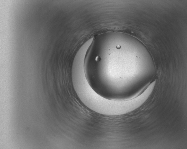 X0000080131202200612302027