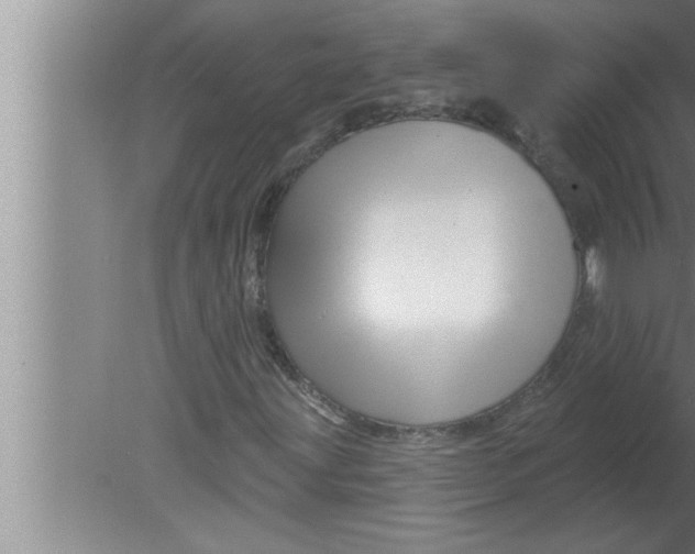 X0000080131203200612302027