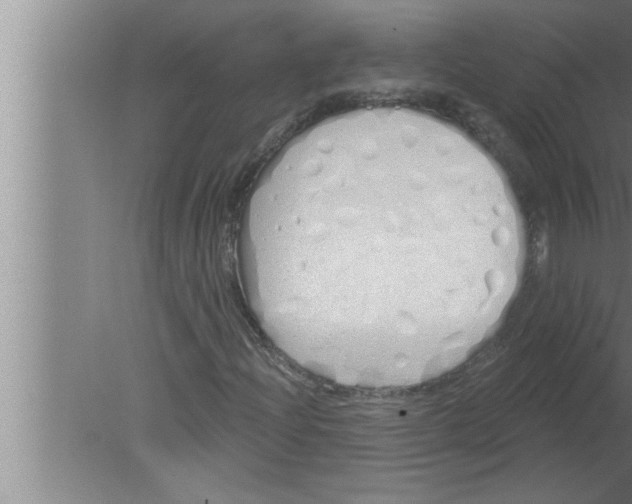 X0000080131204200612302027