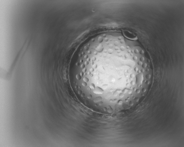 X0000080131205200612302027