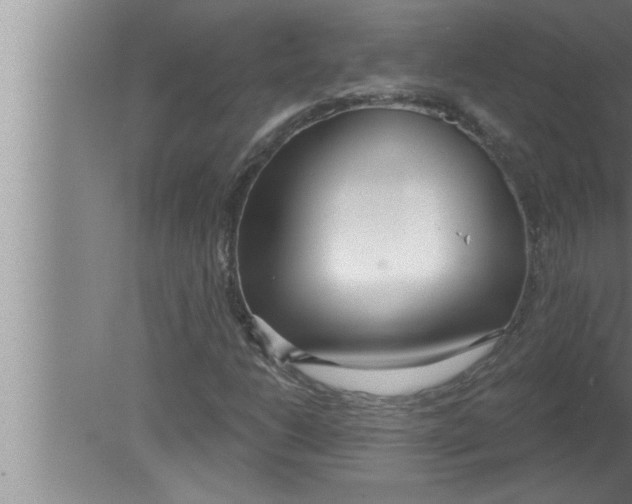 X0000080131206200612302027