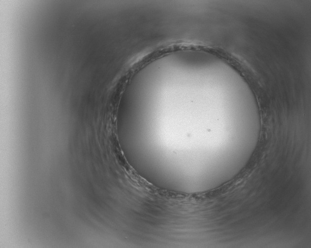 X0000080131207200612302027