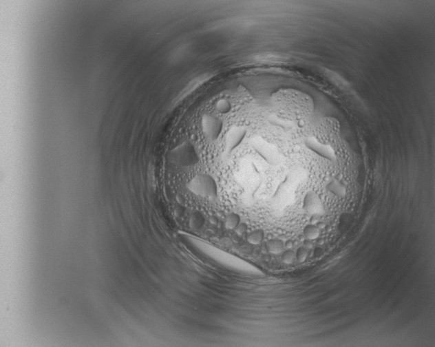 X0000080131209200612302027