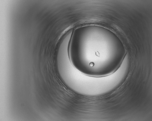 X0000080131210200612302027