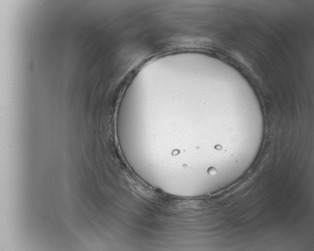 X0000080131211200612302027