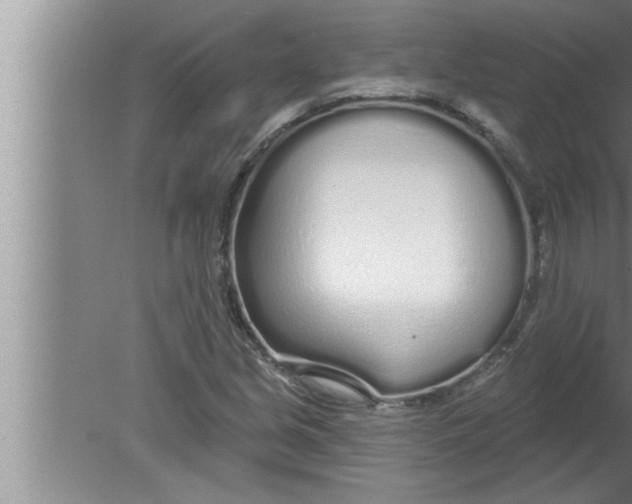 X0000080131213200612302027