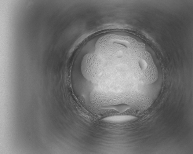 X0000080131215200612302027