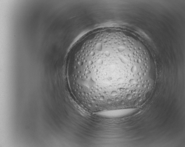 X0000080131216200612302027