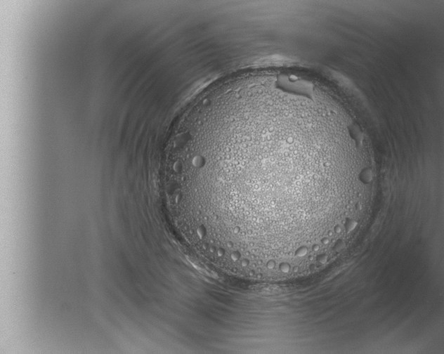 X0000080131217200612302027