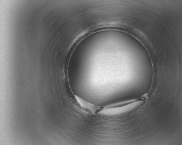 X0000080131218200612302027