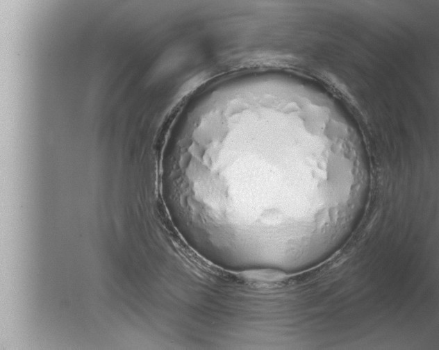 X0000080131219200612302027