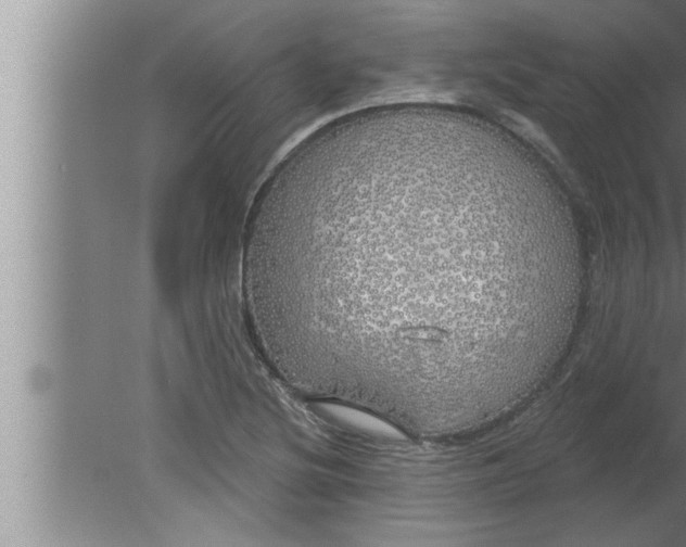 X0000080131220200612302027