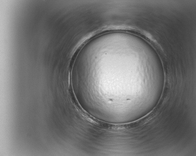 X0000080131221200612302027