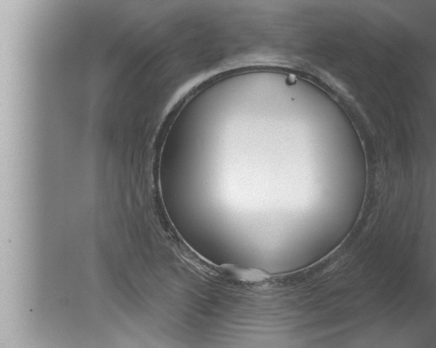 X0000080131222200612302027