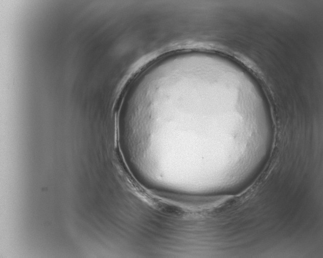 X0000080131223200612302027