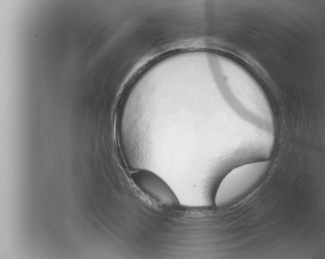 X0000080131224200612302027