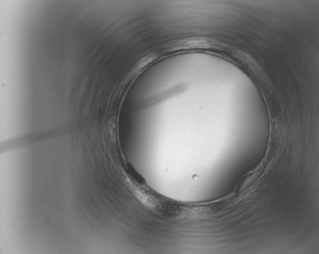 X0000080131225200612302027