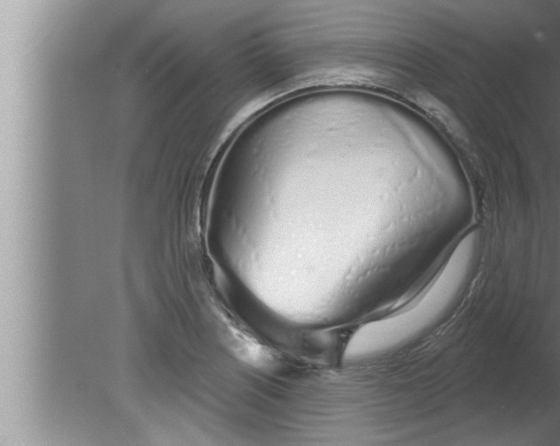 X0000080131226200612302027