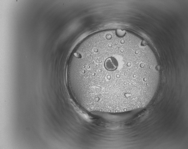 X0000080131227200612302027