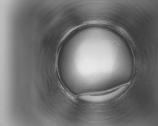 X0000080131228200612302027