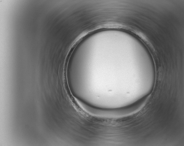 X0000080131229200612302027