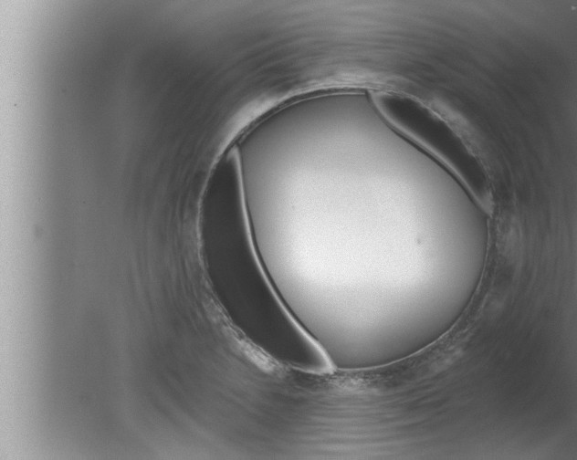 X0000080131230200612302027