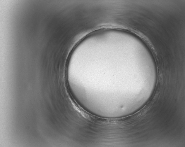 X0000080131231200612302027