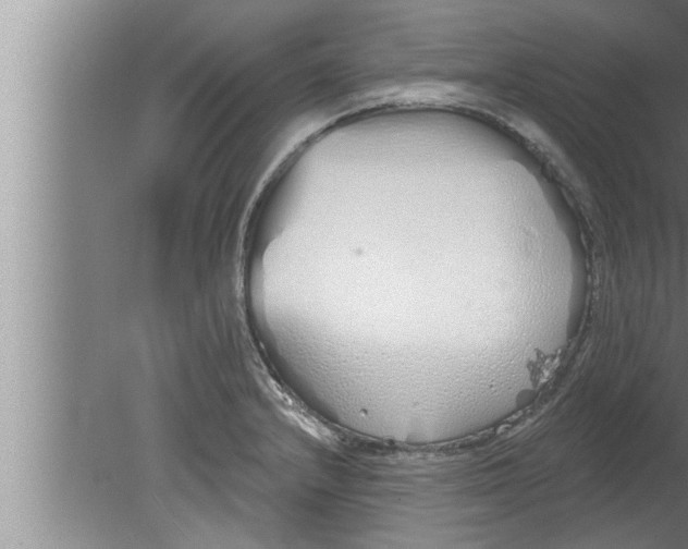 X0000080131232200612302027