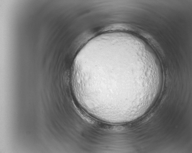 X0000080131233200612302028