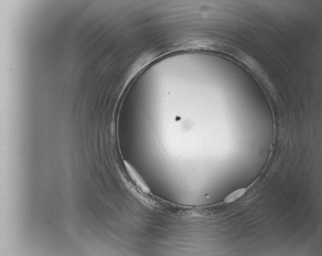 X0000080131234200612302028