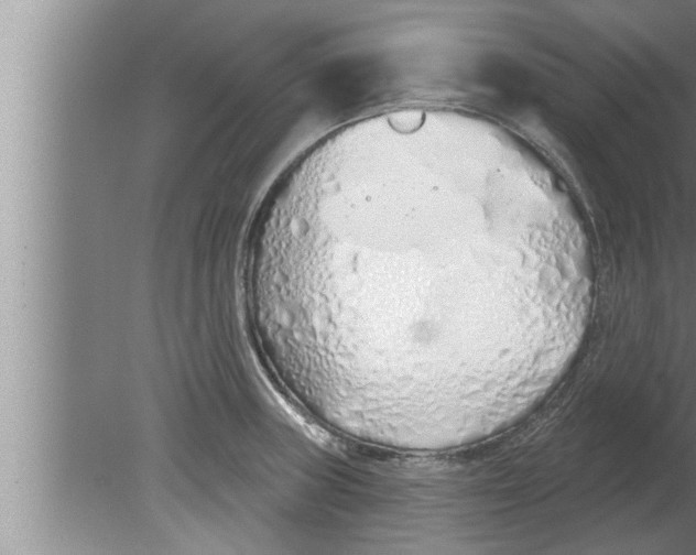 X0000080131235200612302028