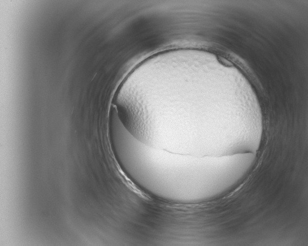 X0000080131236200612302028