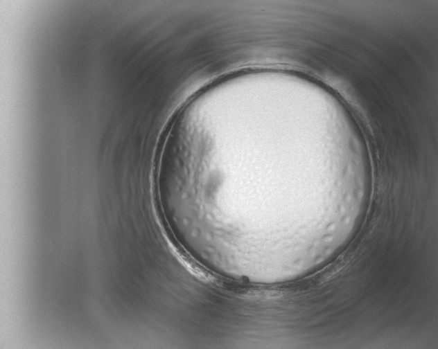 X0000080131237200612302028