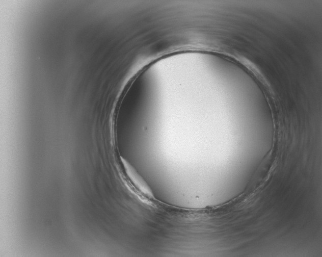 X0000080131238200612302028