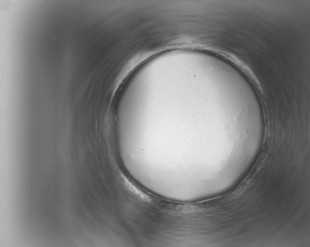 X0000080131239200612302028