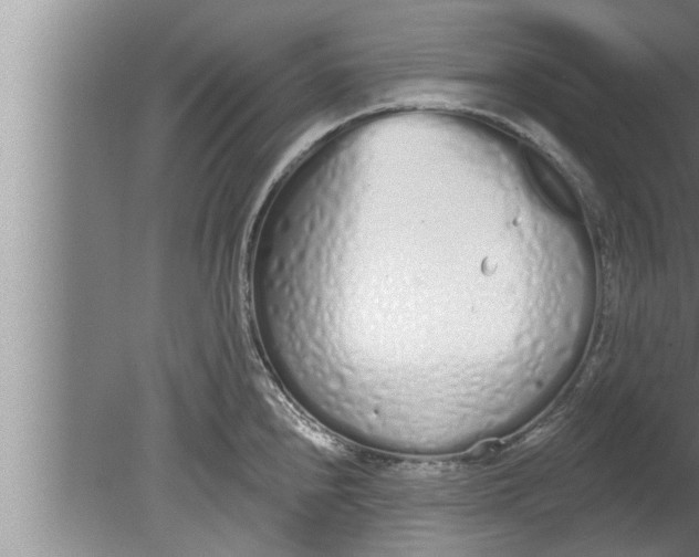 X0000080131240200612302028